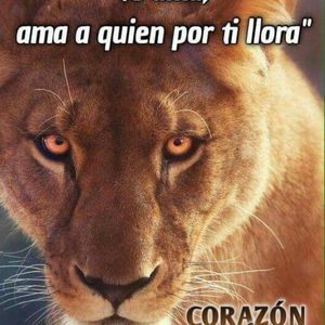 Meet your Posher, Tomasa